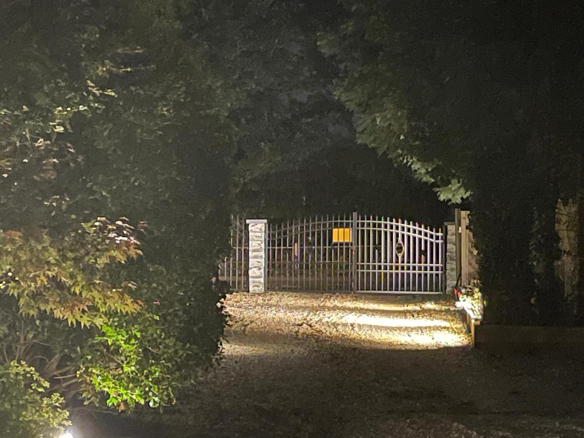 Da Vinci Guest House & Guest Parking, A Real Gem Crawley  Eksteriør bilde